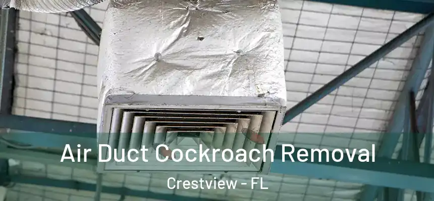 Air Duct Cockroach Removal Crestview - FL