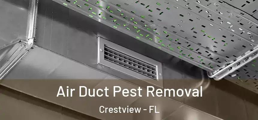  Air Duct Pest Removal Crestview - FL