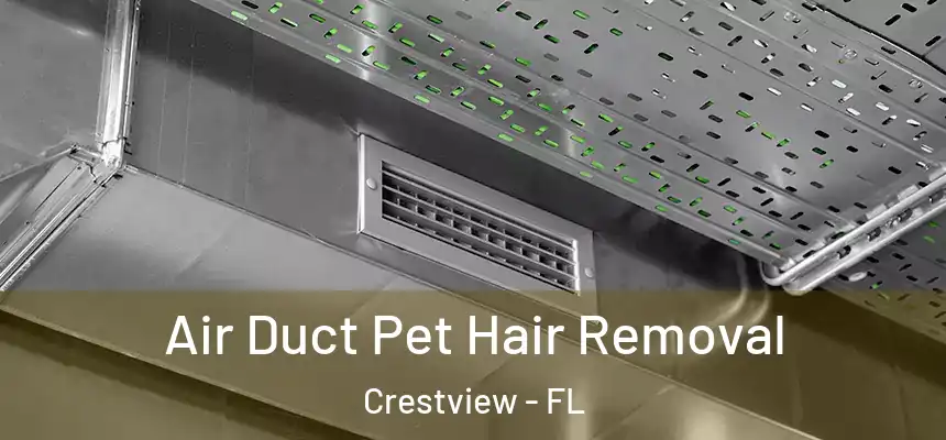  Air Duct Pet Hair Removal Crestview - FL