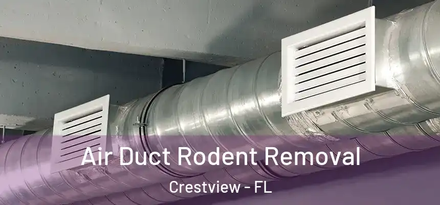  Air Duct Rodent Removal Crestview - FL