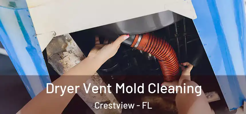  Dryer Vent Mold Cleaning Crestview - FL