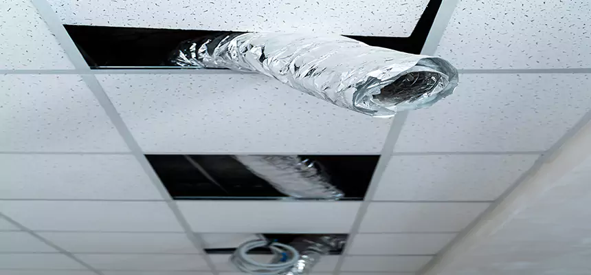 Affordable HVAC Sanitizing After Pest Removal in Crestview