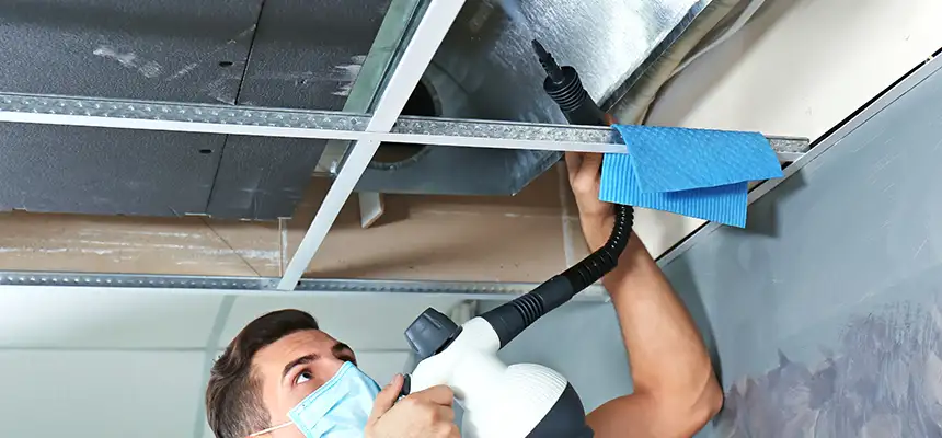 Our Air Duct Rodent Removal Services in Crestview, FL