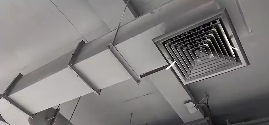 Restorative Allergy Relief Vent Cleaning – Coil, Blower & Housing Detail in Crestview