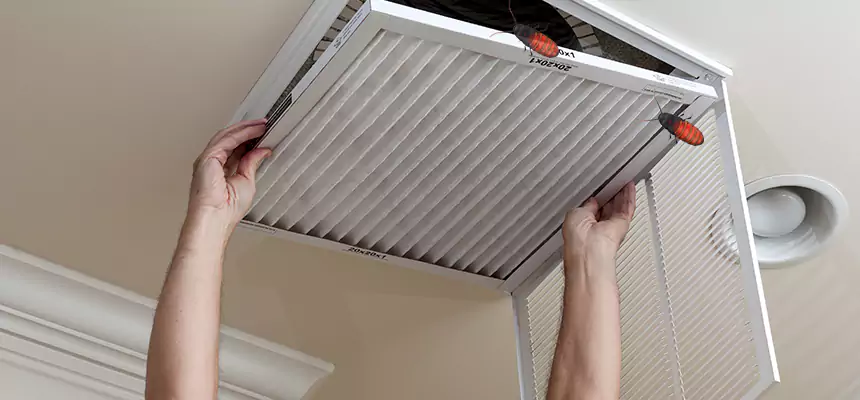 Our Insect Removal from Air Ducts Services in Crestview, FL