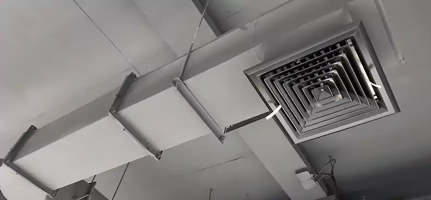 Our Pest Removal From Ducts Services in Crestview, FL