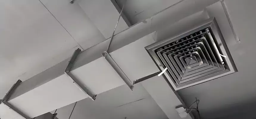 Our Rodent Droppings In Vents Services in Crestview, FL