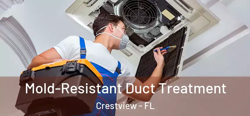  Mold-Resistant Duct Treatment Crestview - FL