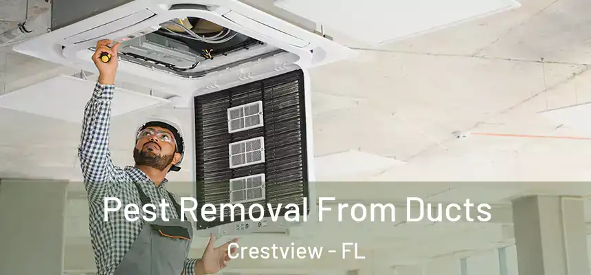  Pest Removal From Ducts Crestview - FL