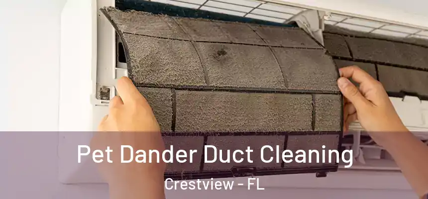 Pet Dander Duct Cleaning Crestview - FL
