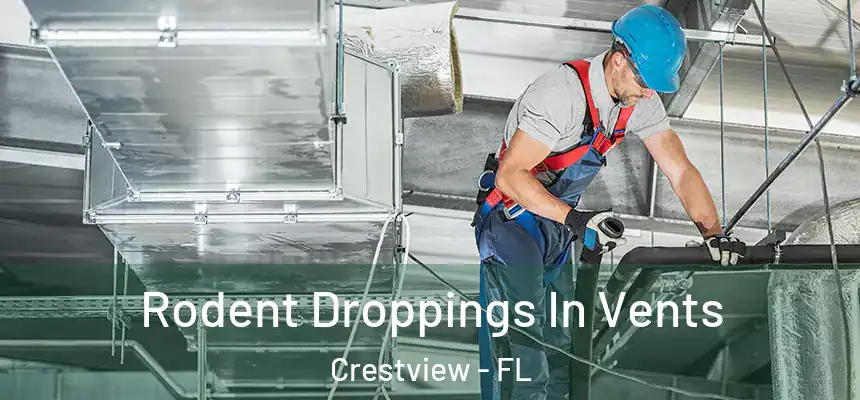  Rodent Droppings In Vents Crestview - FL