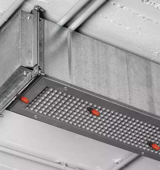 About Air Duct Cockroach Removal in Crestview, FL