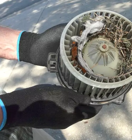 About Air Duct Rat Removal in Crestview, FL