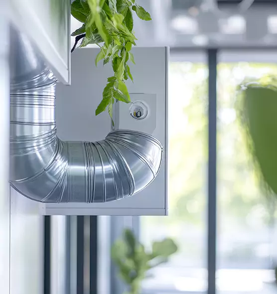 Professional Eco-Safe Dryer Vent Cleaning in Crestview, FL