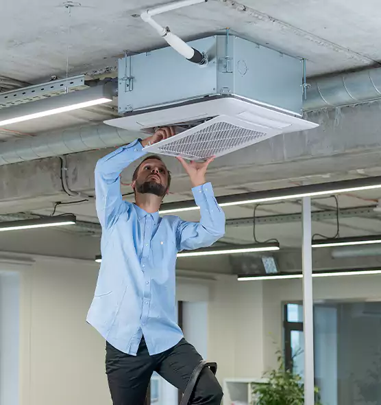 Advanced Rodent Droppings In Vents in Crestview, FL